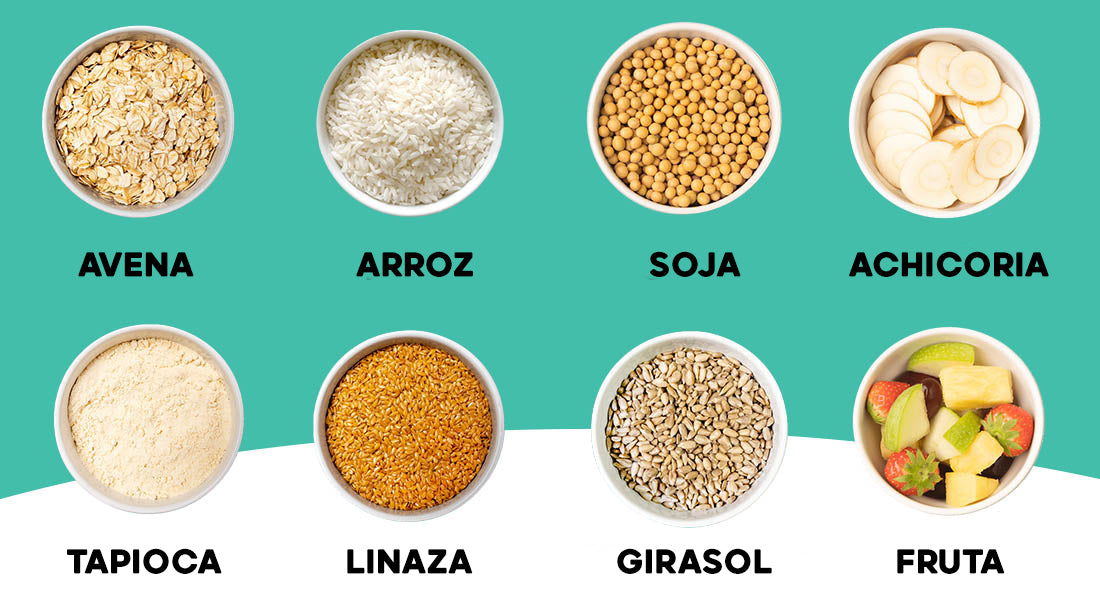 Plenny Shake v3.0 | Batido Completo